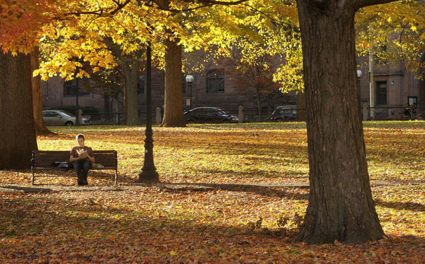Fall scene at Yale